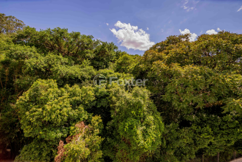 Image 11 - 967756