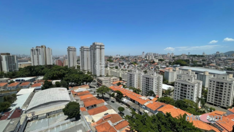 Image 32 - 967993