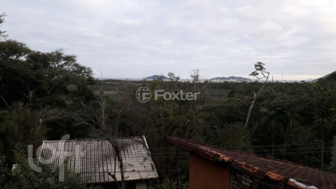 Image 4 - 968243