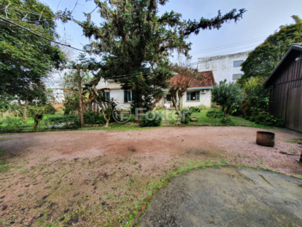Image 3 - 968501