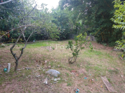 Image 5 - 968517