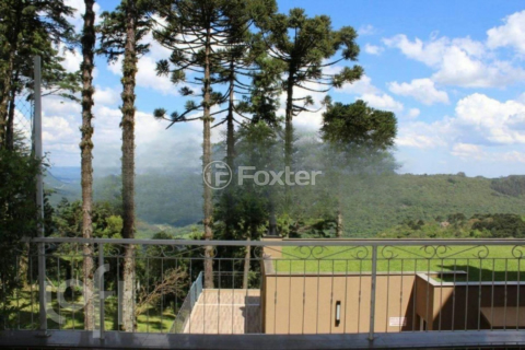 Image 9 - 968650