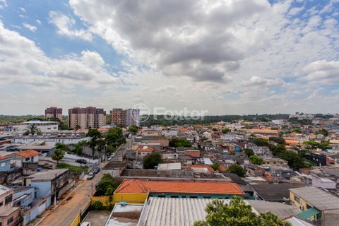 Image 3 - 969088