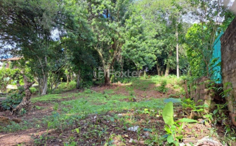 Image 3 - 969187