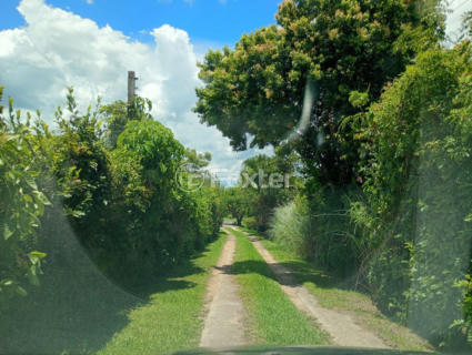 Image 5 - 969317