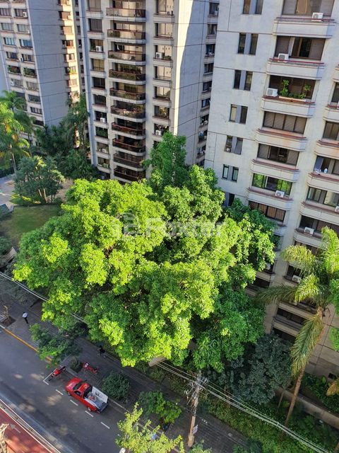 Image 9 - 969706
