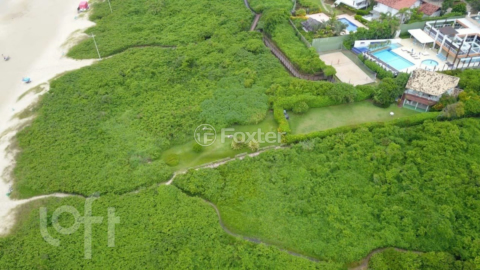 Image 6 - 969722