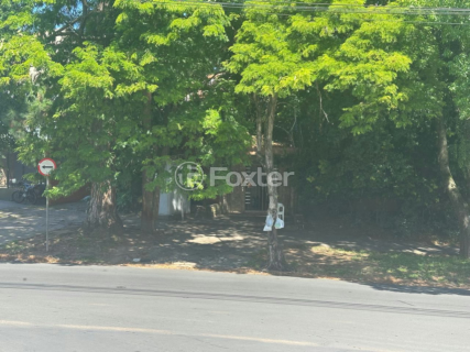 Image 3 - 969771