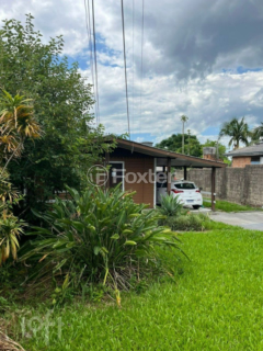 Image 31 - 969973
