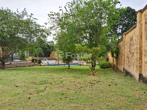 Image 32 - 970068