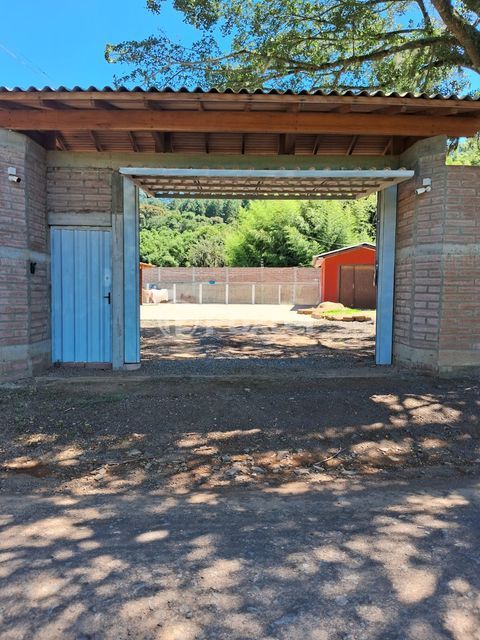 Image 7 - 970365