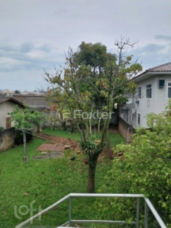 Image 11 - 970486