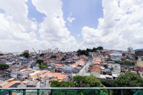 Image 4 - 970773
