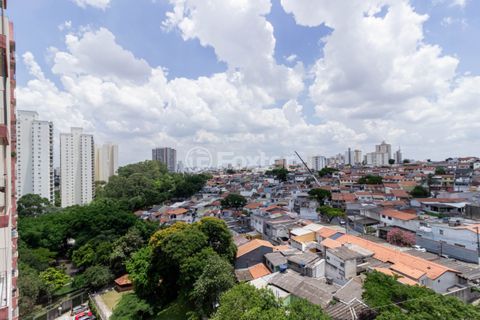 Image 3 - 970773