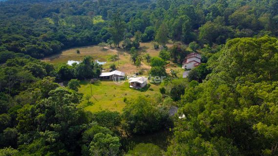 Image 10 - 970965
