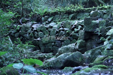 Image 11 - 970965