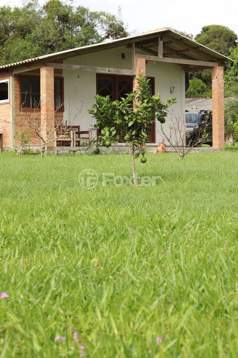 Image 12 - 970965