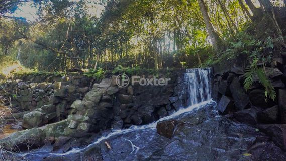 Image 4 - 970965