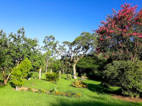 Image 5 - 970965