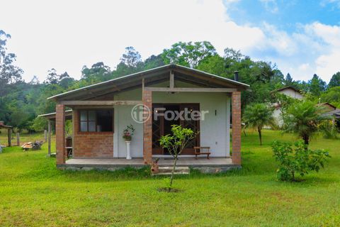 Image 8 - 970965