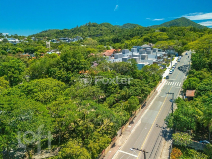 Image 9 - 970988