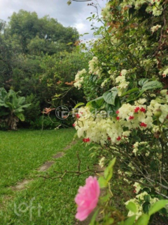 Image 0 - 971106
