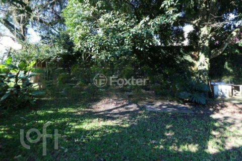 Image 5 - 971106