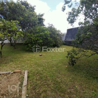 Image 31 - 971471