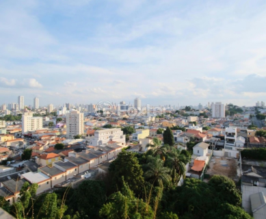 Image 1 - 971583