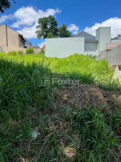 Image 5 - 971986