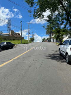 Image 4 - 971986