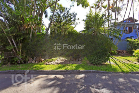 Image 29 - 972317