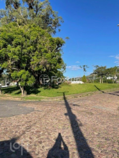 Image 21 - 972368