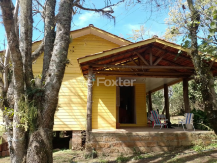 Image 4 - 972387