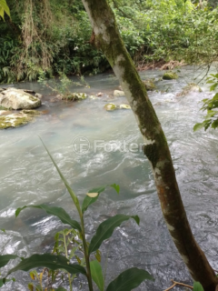 Image 7 - 972387