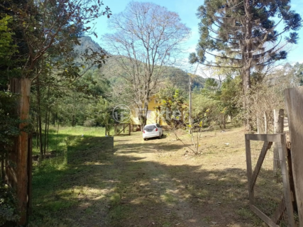 Image 9 - 972387