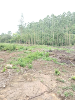 Image 10 - 972387