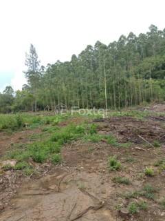 Image 11 - 972387