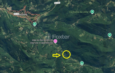Image 13 - 972387