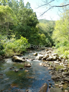 Image 5 - 972387