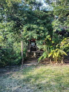 Image 11 - 972895
