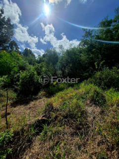 Image 9 - 973174