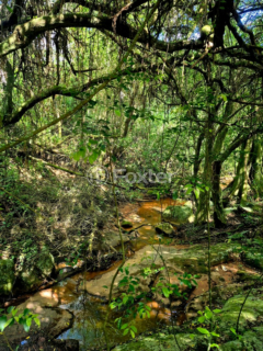 Image 10 - 973174