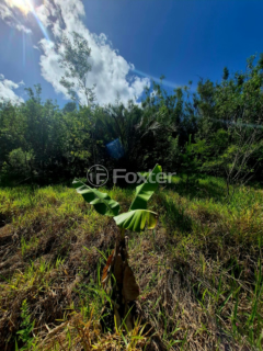 Image 7 - 973174