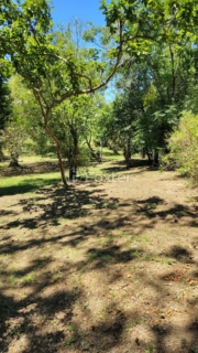 Image 20 - 973421