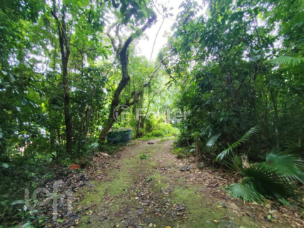 Image 4 - 973560