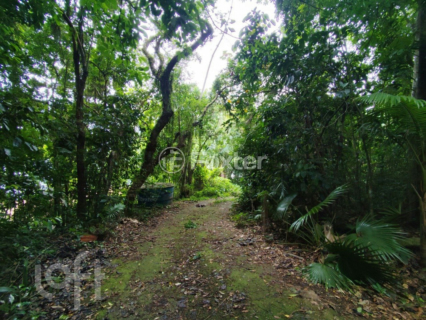 Image 3 - 973560