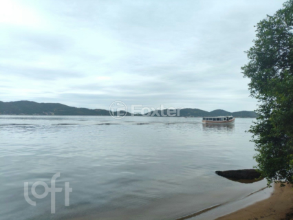 Image 10 - 973560