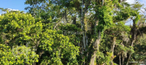Image 4 - 973619