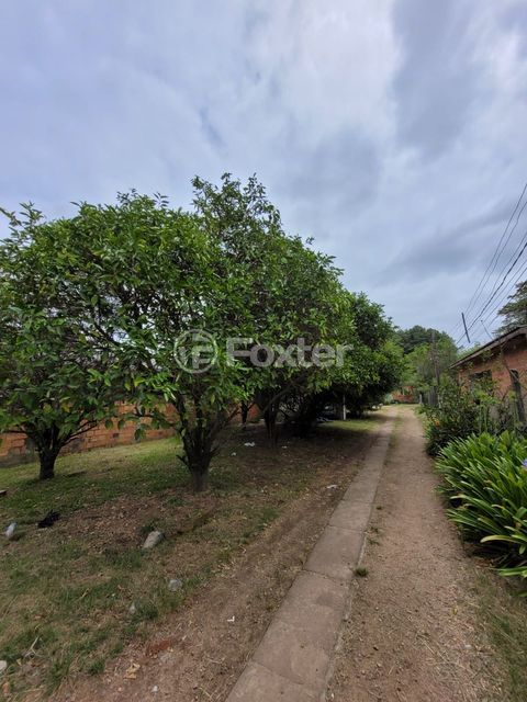 Image 7 - 973891